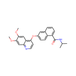 COc1cc2nccc(Oc3ccc4c(C(=O)NC(C)C)cccc4c3)c2cc1OC ZINC000029133961