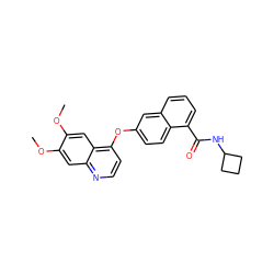 COc1cc2nccc(Oc3ccc4c(C(=O)NC5CCC5)cccc4c3)c2cc1OC ZINC000029133921