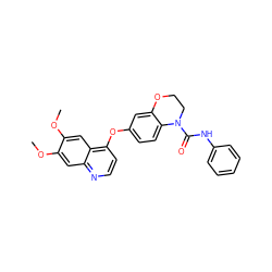 COc1cc2nccc(Oc3ccc4c(c3)OCCN4C(=O)Nc3ccccc3)c2cc1OC ZINC000029134547