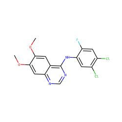 COc1cc2ncnc(Nc3cc(Cl)c(Cl)cc3F)c2cc1OC ZINC000000589460