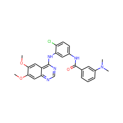 COc1cc2ncnc(Nc3cc(NC(=O)c4cccc(N(C)C)c4)ccc3Cl)c2cc1OC ZINC000028386301