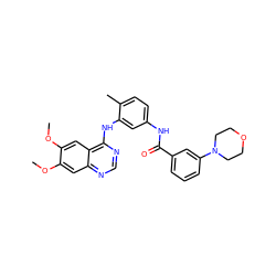 COc1cc2ncnc(Nc3cc(NC(=O)c4cccc(N5CCOCC5)c4)ccc3C)c2cc1OC ZINC000028386372