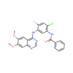 COc1cc2ncnc(Nc3cc(NC(=O)c4ccccc4)c(Cl)cc3F)c2cc1OC ZINC000028385305