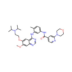 COc1cc2ncnc(Nc3cc(NC(=O)c4ccnc(N5CCOCC5)c4)ccc3C)c2cc1OCCN(C(C)C)C(C)C ZINC000028386378