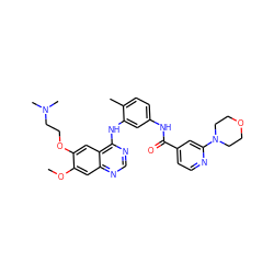 COc1cc2ncnc(Nc3cc(NC(=O)c4ccnc(N5CCOCC5)c4)ccc3C)c2cc1OCCN(C)C ZINC000028392328