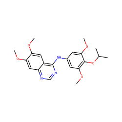 COc1cc2ncnc(Nc3cc(OC)c(OC(C)C)c(OC)c3)c2cc1OC ZINC000003832362