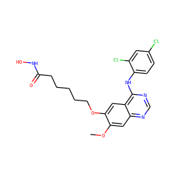 COc1cc2ncnc(Nc3ccc(Cl)cc3Cl)c2cc1OCCCCCC(=O)NO ZINC000473154451