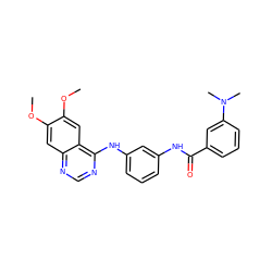 COc1cc2ncnc(Nc3cccc(NC(=O)c4cccc(N(C)C)c4)c3)c2cc1OC ZINC000028388724