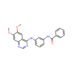 COc1cc2ncnc(Nc3cccc(NC(=O)c4ccccc4)c3)c2cc1OC ZINC000028389375