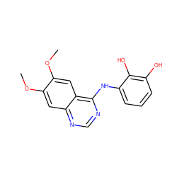 COc1cc2ncnc(Nc3cccc(O)c3O)c2cc1OC ZINC000149831274