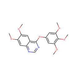 COc1cc2ncnc(Oc3cc(OC)c(OC)c(OC)c3)c2cc1OC ZINC000027410222