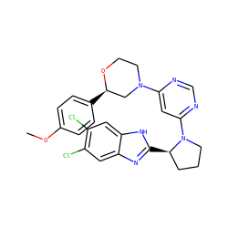 COc1ccc([C@@H]2CN(c3cc(N4CCC[C@H]4c4nc5cc(Cl)c(Cl)cc5[nH]4)ncn3)CCO2)cc1 ZINC000082153329