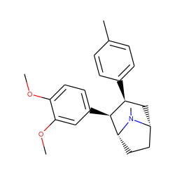 COc1ccc([C@H]2[C@@H](c3ccc(C)cc3)C[C@@H]3CC[C@H]2N3C)cc1OC ZINC000013676213