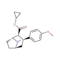 COc1ccc([C@H]2C[C@H]3CC[C@H]([C@H]2C(=O)OC2CC2)N3C)cc1 ZINC000101221637