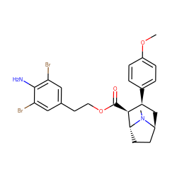 COc1ccc([C@H]2C[C@H]3CC[C@H]([C@H]2C(=O)OCCc2cc(Br)c(N)c(Br)c2)N3C)cc1 ZINC000101221941