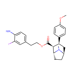 COc1ccc([C@H]2C[C@H]3CC[C@H]([C@H]2C(=O)OCCc2ccc(N)c(I)c2)N3C)cc1 ZINC000101221946