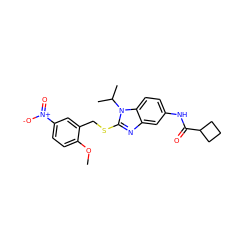 COc1ccc([N+](=O)[O-])cc1CSc1nc2cc(NC(=O)C3CCC3)ccc2n1C(C)C ZINC000028524594