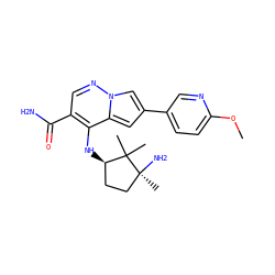 COc1ccc(-c2cc3c(N[C@@H]4CC[C@](C)(N)C4(C)C)c(C(N)=O)cnn3c2)cn1 ZINC000216520636