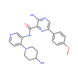 COc1ccc(-c2cnc(N)c(C(=O)Nc3cnccc3N3CCC(N)CC3)n2)cc1 ZINC000203758062