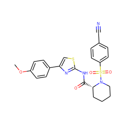 COc1ccc(-c2csc(NC(=O)[C@H]3CCCCN3S(=O)(=O)c3ccc(C#N)cc3)n2)cc1 ZINC000084687106