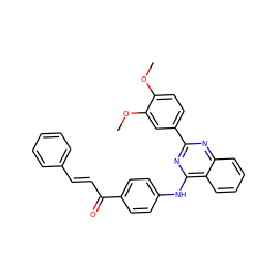 COc1ccc(-c2nc(Nc3ccc(C(=O)/C=C/c4ccccc4)cc3)c3ccccc3n2)cc1OC ZINC000653833216