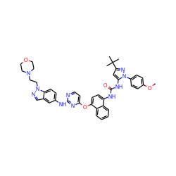 COc1ccc(-n2nc(C(C)(C)C)cc2NC(=O)Nc2ccc(Oc3ccnc(Nc4ccc5c(cnn5CCN5CCOCC5)c4)n3)c3ccccc23)cc1 ZINC000211036690