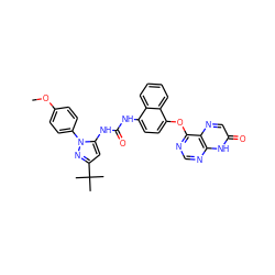 COc1ccc(-n2nc(C(C)(C)C)cc2NC(=O)Nc2ccc(Oc3ncnc4[nH]c(=O)cnc34)c3ccccc23)cc1 ZINC000199097009