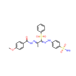 COc1ccc(C(=O)N/N=C(C)/C(=N/Nc2ccc(S(N)(=O)=O)cc2)S(=O)(=O)c2ccccc2)cc1 ZINC000103230489