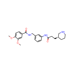 COc1ccc(C(=O)NCc2cccc(NC(=O)CC[C@@H]3CCCNC3)c2)cc1OC ZINC000045337399