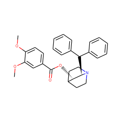 COc1ccc(C(=O)O[C@H]2C3CCN(CC3)[C@@H]2C(c2ccccc2)c2ccccc2)cc1OC ZINC000038226641