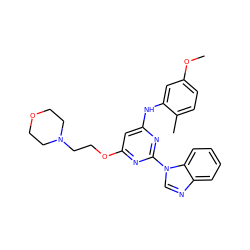 COc1ccc(C)c(Nc2cc(OCCN3CCOCC3)nc(-n3cnc4ccccc43)n2)c1 ZINC000034985741