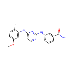 COc1ccc(C)c(Nc2ccnc(Nc3cccc(C(N)=O)c3)n2)c1 ZINC000028950537