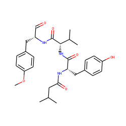 COc1ccc(C[C@H](C=O)NC(=O)[C@@H](NC(=O)[C@H](Cc2ccc(O)cc2)NC(=O)CC(C)C)C(C)C)cc1 ZINC000028341053