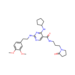 COc1ccc(CCNc2ncc(C(=O)NCCCN3CCCC3=O)c(NC3CCCC3)n2)cc1OC ZINC000095595019