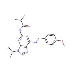 COc1ccc(CNc2nc(NC(=O)C(C)C)nc3c2ncn3C(C)C)cc1 ZINC000028641419