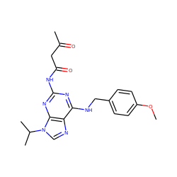 COc1ccc(CNc2nc(NC(=O)CC(C)=O)nc3c2ncn3C(C)C)cc1 ZINC000028641420