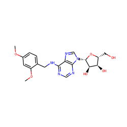 COc1ccc(CNc2ncnc3c2ncn3[C@@H]2O[C@H](CO)[C@@H](O)[C@H]2O)c(OC)c1 ZINC000028647893
