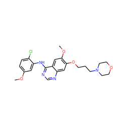 COc1ccc(Cl)c(Nc2ncnc3cc(OCCCN4CCOCC4)c(OC)cc23)c1 ZINC000013559411