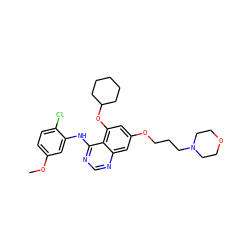 COc1ccc(Cl)c(Nc2ncnc3cc(OCCCN4CCOCC4)cc(OC4CCCCC4)c23)c1 ZINC000014949403