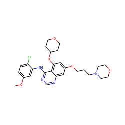 COc1ccc(Cl)c(Nc2ncnc3cc(OCCCN4CCOCC4)cc(OC4CCOCC4)c23)c1 ZINC000028563876