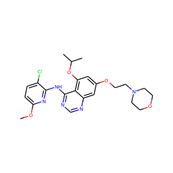 COc1ccc(Cl)c(Nc2ncnc3cc(OCCN4CCOCC4)cc(OC(C)C)c23)n1 ZINC000028564472