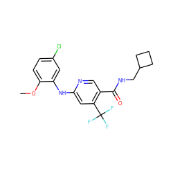 COc1ccc(Cl)cc1Nc1cc(C(F)(F)F)c(C(=O)NCC2CCC2)cn1 ZINC000040878453