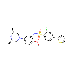 COc1ccc(N2C[C@H](C)N[C@H](C)C2)cc1NS(=O)(=O)c1ccc(-c2cccs2)cc1Cl ZINC000029125071