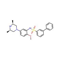 COc1ccc(N2C[C@H](C)N[C@H](C)C2)cc1NS(=O)(=O)c1cccc(-c2ccccc2)c1 ZINC000029124888