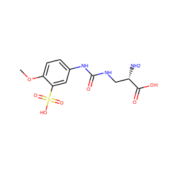 COc1ccc(NC(=O)NC[C@H](N)C(=O)O)cc1S(=O)(=O)O ZINC000149339276