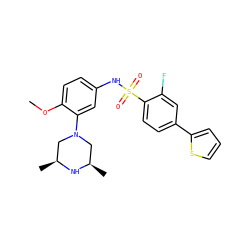 COc1ccc(NS(=O)(=O)c2ccc(-c3cccs3)cc2F)cc1N1C[C@H](C)N[C@H](C)C1 ZINC000095598566