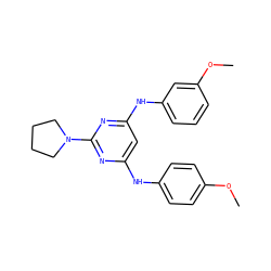 COc1ccc(Nc2cc(Nc3cccc(OC)c3)nc(N3CCCC3)n2)cc1 ZINC000073162050