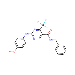 COc1ccc(Nc2ncc(C(=O)NCc3ccccc3)c(C(F)(F)F)n2)cc1 ZINC000028645235