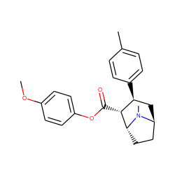 COc1ccc(OC(=O)[C@@H]2[C@@H](c3ccc(C)cc3)C[C@H]3CC[C@H]2N3C)cc1 ZINC000202983418