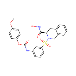 COc1ccc(OC(=O)Nc2cccc(S(=O)(=O)N3Cc4ccccc4C[C@@H]3C(=O)NO)c2)cc1 ZINC000013797734